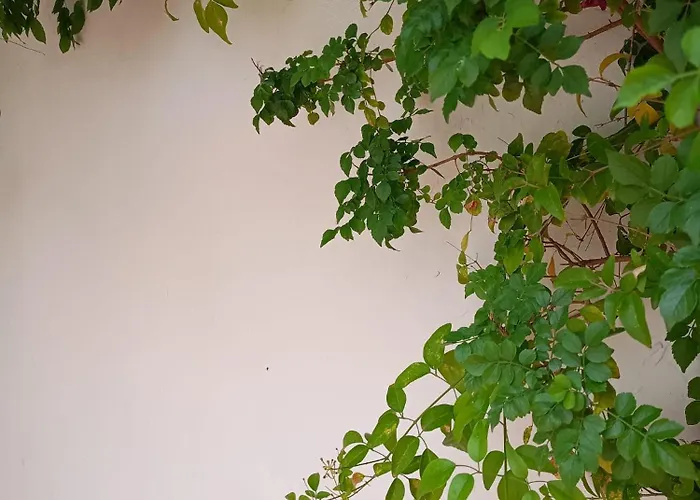 בית נופש La Casa Al Mare *